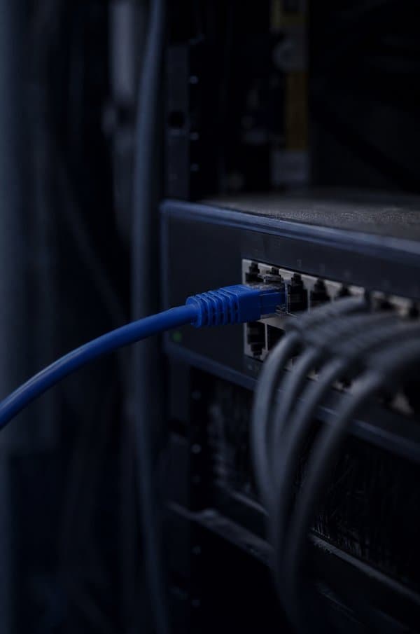 A network cable plugged into a business-grade switch